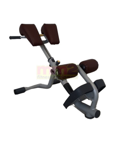 PANCA LOWER BACK ELEMENT Technogym Usata Rigenerata e Garantita