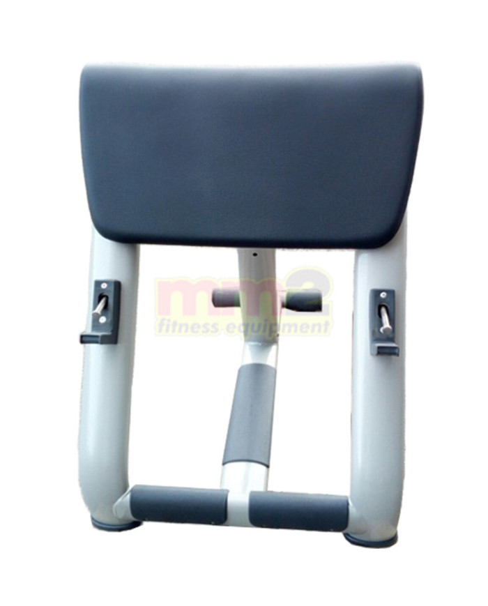 PANCA SCOTT Technogym Usata Rigenerata e Garantita