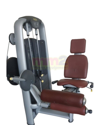 LEG CURL SELECTION MATT BROWN Technogym Usato Ricondizionato e Garantito
