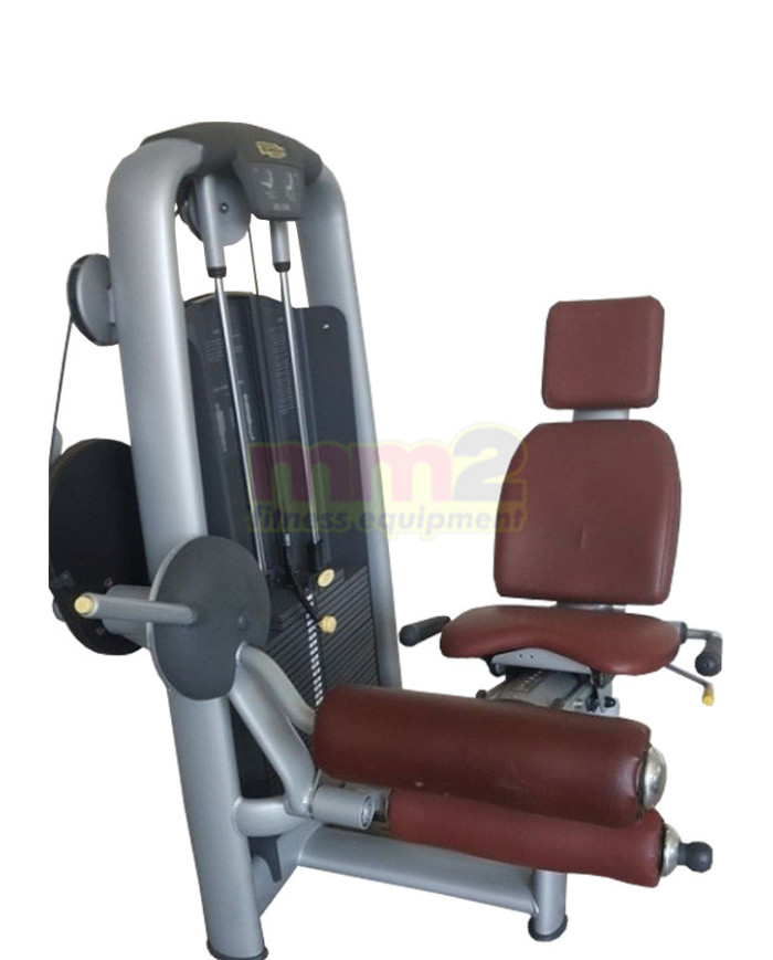 LEG CURL SELECTION MATT BROWN Technogym Usato Ricondizionato e Garantito