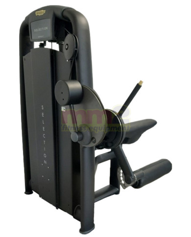 LEG EXTENSION SELECTION Technogym Usato Rigenerato e Garantito