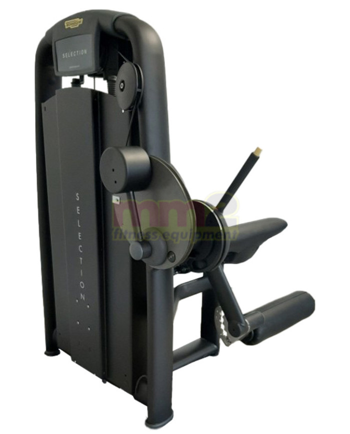 LEG EXTENSION SELECTION Technogym Usato Rigenerato e Garantito