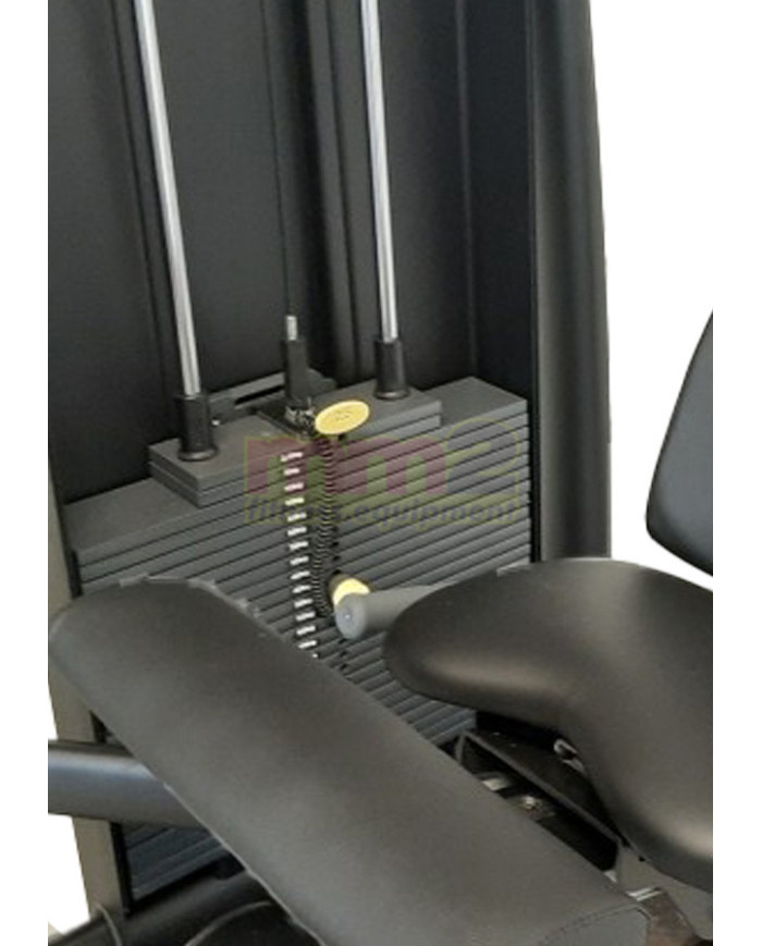 LEG EXTENSION SELECTION Technogym Usato Rigenerato e Garantito