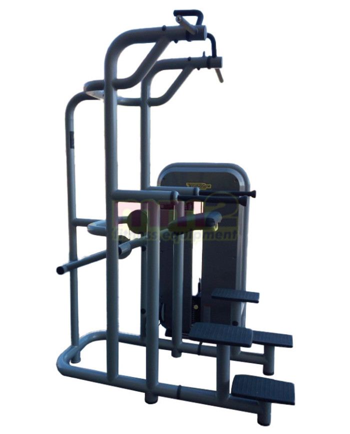 EASY CHIN DIP ELEMENT Technogym Usato Ricondizionato e Garantito