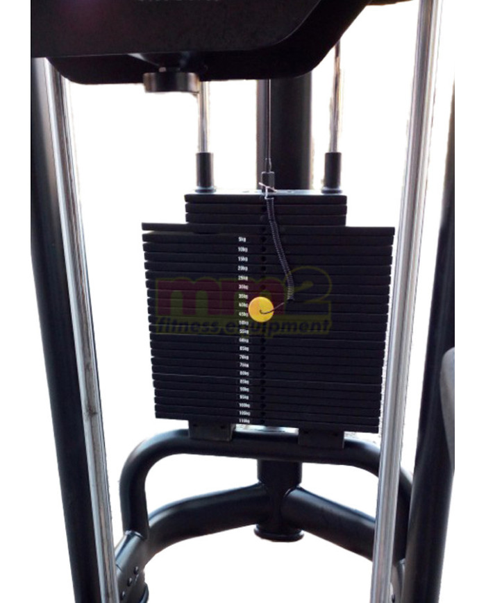 EASY CHIN DIP ELEMENT Technogym Usato Ricondizionato e Garantito