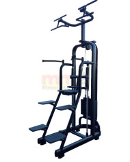 EASY CHIN DIP ELEMENT Technogym Usato Ricondizionato e Garantito