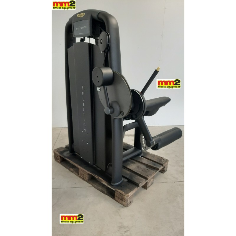 LEG EXTENSION SELECTION MAT BLACK Technogym (Completamente rigenerato)