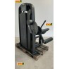 LEG EXTENSION SELECTION MAT BLACK Technogym (Completamente rigenerato)