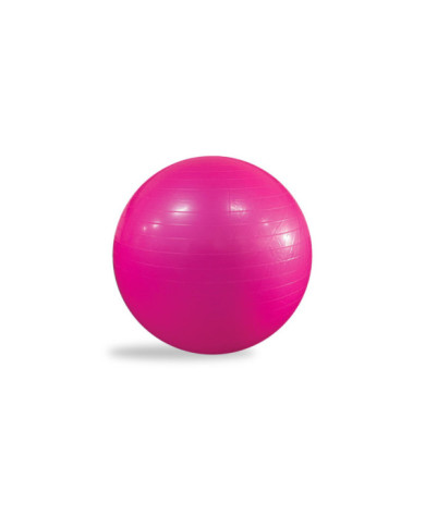 Gym Ball Ø65 Gym Ball Ø65