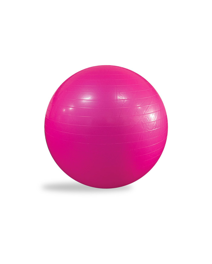 Gym Ball Ø65 Gym Ball Ø65
