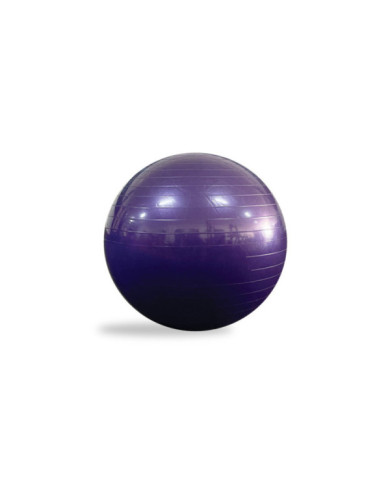 Gym Ball Ø75 Gym Ball Ø75