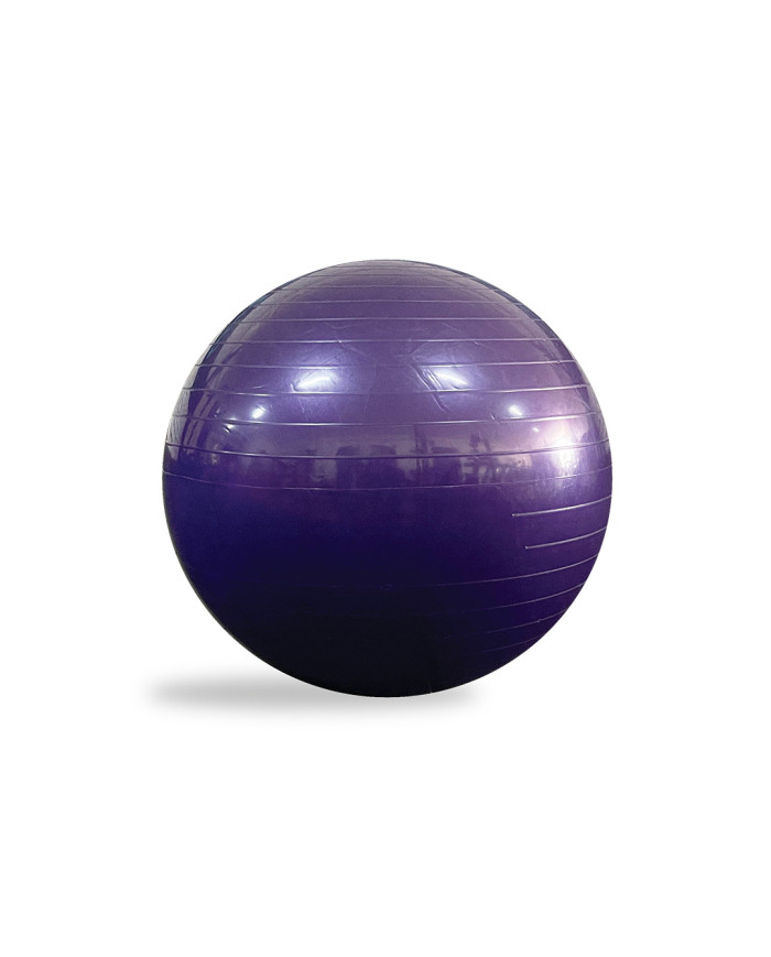 Gym Ball Ø75 Gym Ball Ø75