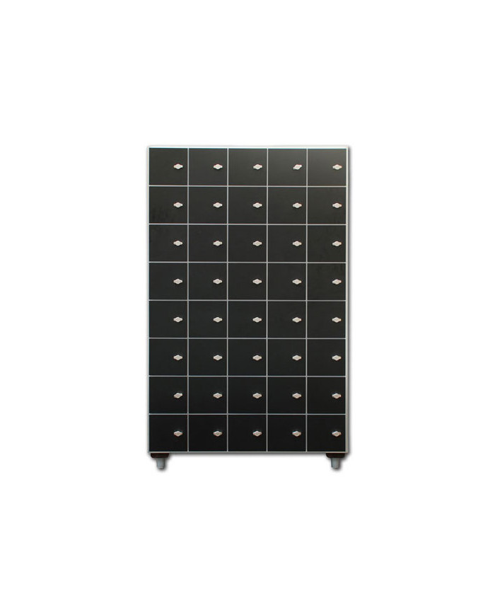 Arredamento Palestra - Casellario Porta Valori 40 Posti GATEPRO | MM2Fitness