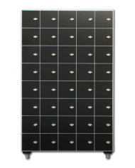 Arredamento Palestra - Casellario Porta Valori 40 Posti GATEPRO | MM2Fitness