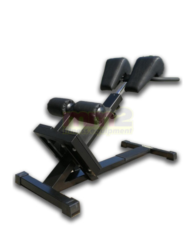 PANCA IPER EXTENSION Technogym Usato Ricondizionato e Garantito