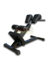 PANCA IPER EXTENSION Technogym Usato Ricondizionato e Garantito