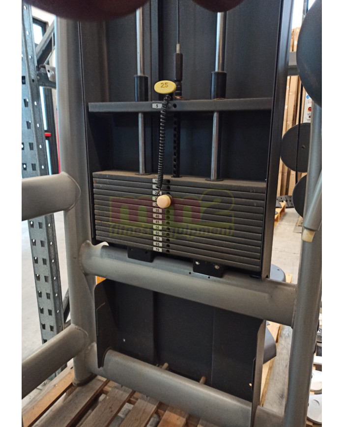 PROMOZIONE BLACK FRIDAY - GLUTE TECHNOGYM SELECTION USATO