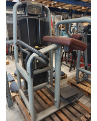 PROMOZIONE BLACK FRIDAY - GLUTE TECHNOGYM SELECTION USATO