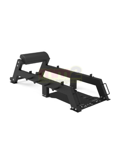 NATALE IN FITNESS-30%  PANCA HIP TRUST GATEPRO GP-2209